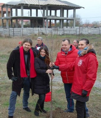 Banias şi Cernea au plantat pomi în cartierul Palazu Mare